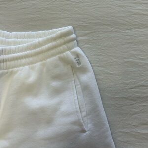 Aritzia Sweatshorts
